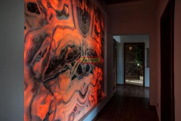 scianaonykspodswietlony