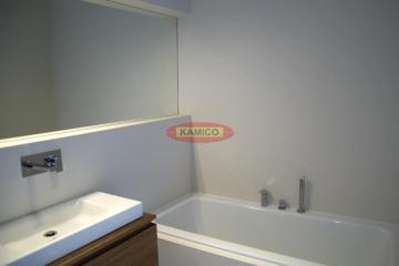 scianazcollectionneve