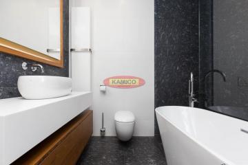 scianyipodlogizgranituazulnoche