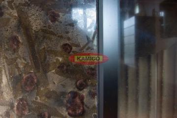 detalkominkameteorus